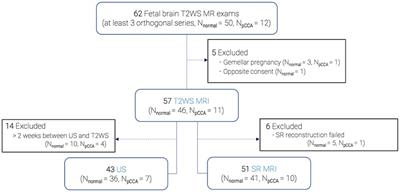 Assessment of fetal corpus callosum biometry by 3D super-resolution reconstructed T2-weighted magnetic resonance imaging